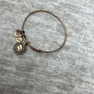 Alex and Ani Pisces bracelet